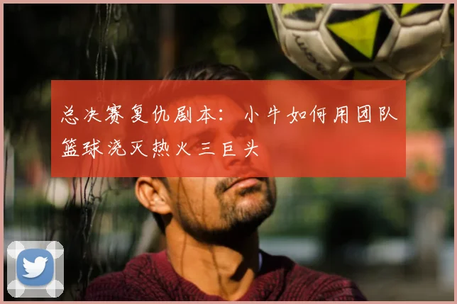 总决赛复仇剧本:小牛如何用团队篮球浇灭热火三巨头